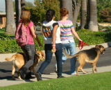 Girls with dogs