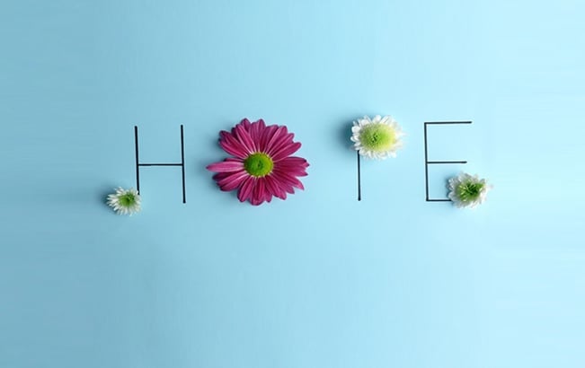 800x504_hope_new.jpg