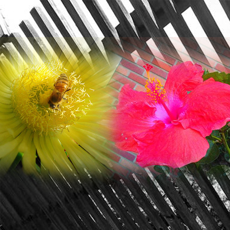 800x800-webpagebanner2.png
