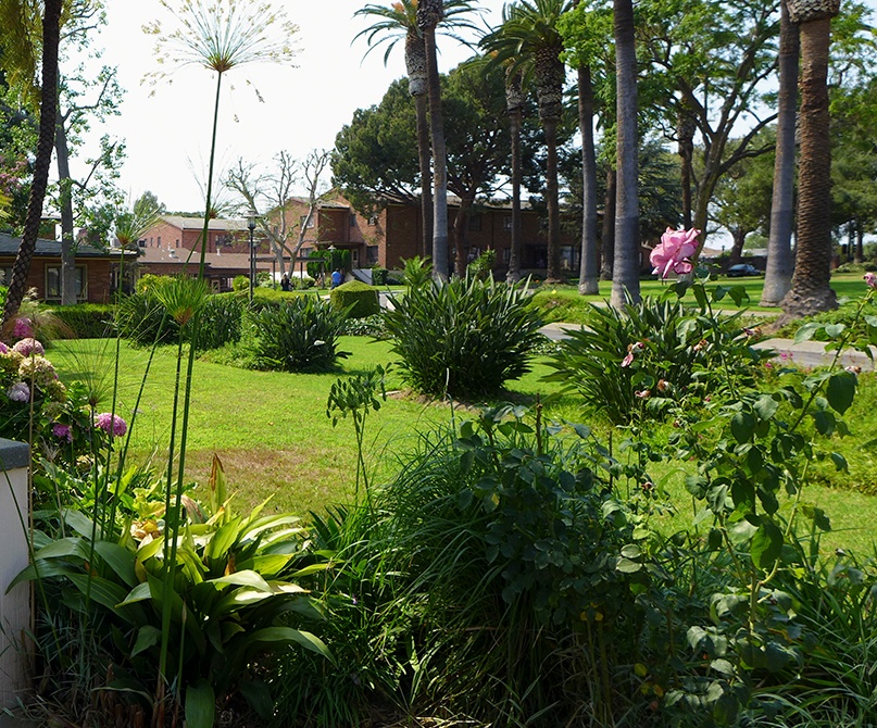 P1000494-garden.jpg