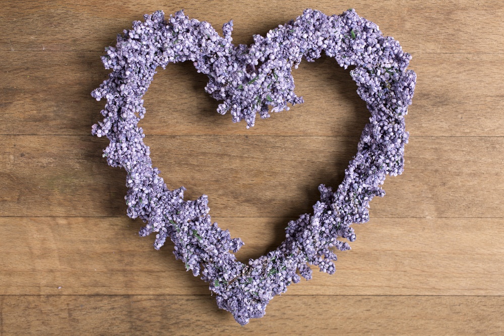 Fresh lavender in a heart shape design-2