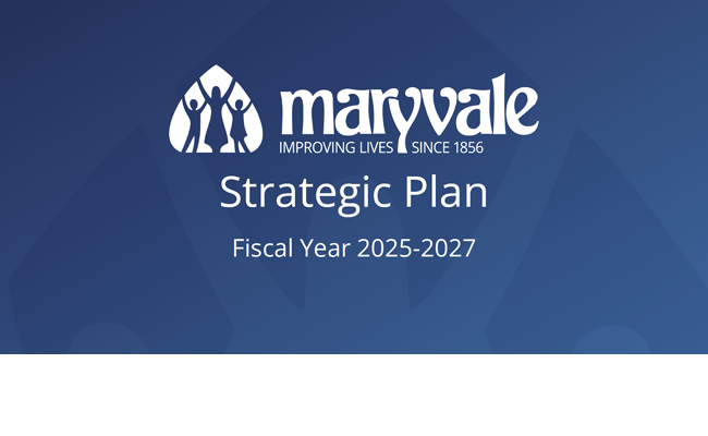 hp-strat-plan2025
