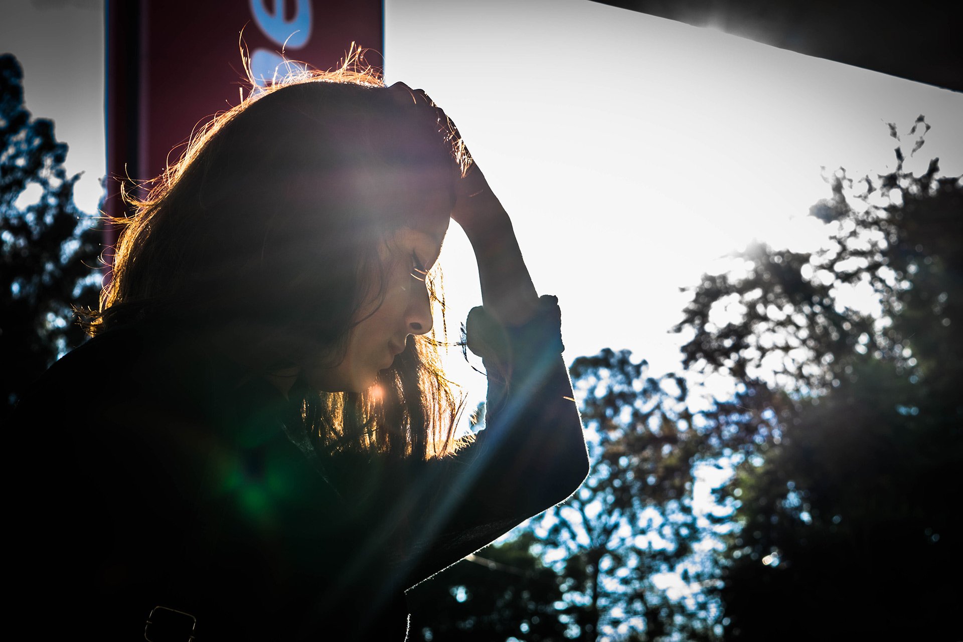 pexels-austin-guevara-883441-web