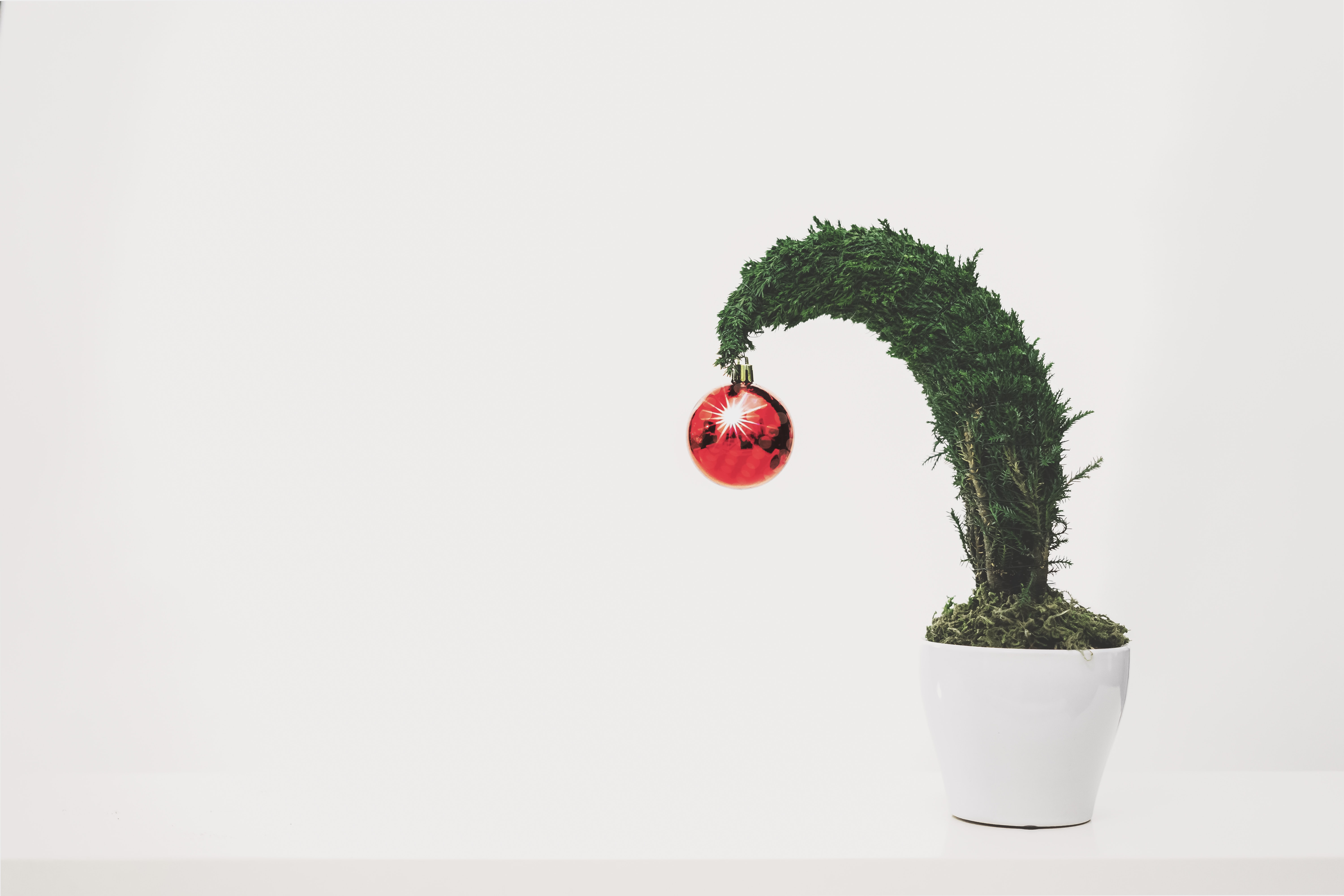 Managing Holiday Stress
